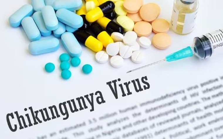 virus-2810-3433-175484679749940469584-0-9-394-639-crop-17548468069911794657884-1754878984689510961001-0-0-475-760-crop-17548789873481546779761.jpg