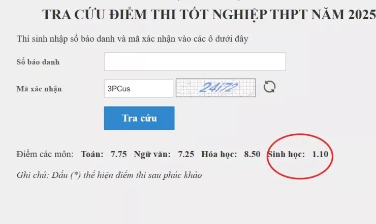 Từ 1,1 lên 8,75 điểm sau phúc khảo: Bài thi tốt nghiệp THPT ở Lào Cai gây chú ý - Ảnh 2.