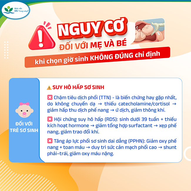 chon-gio-mo-3-1755074827700338207325-1755079645014-17550796451381484238140.jpg