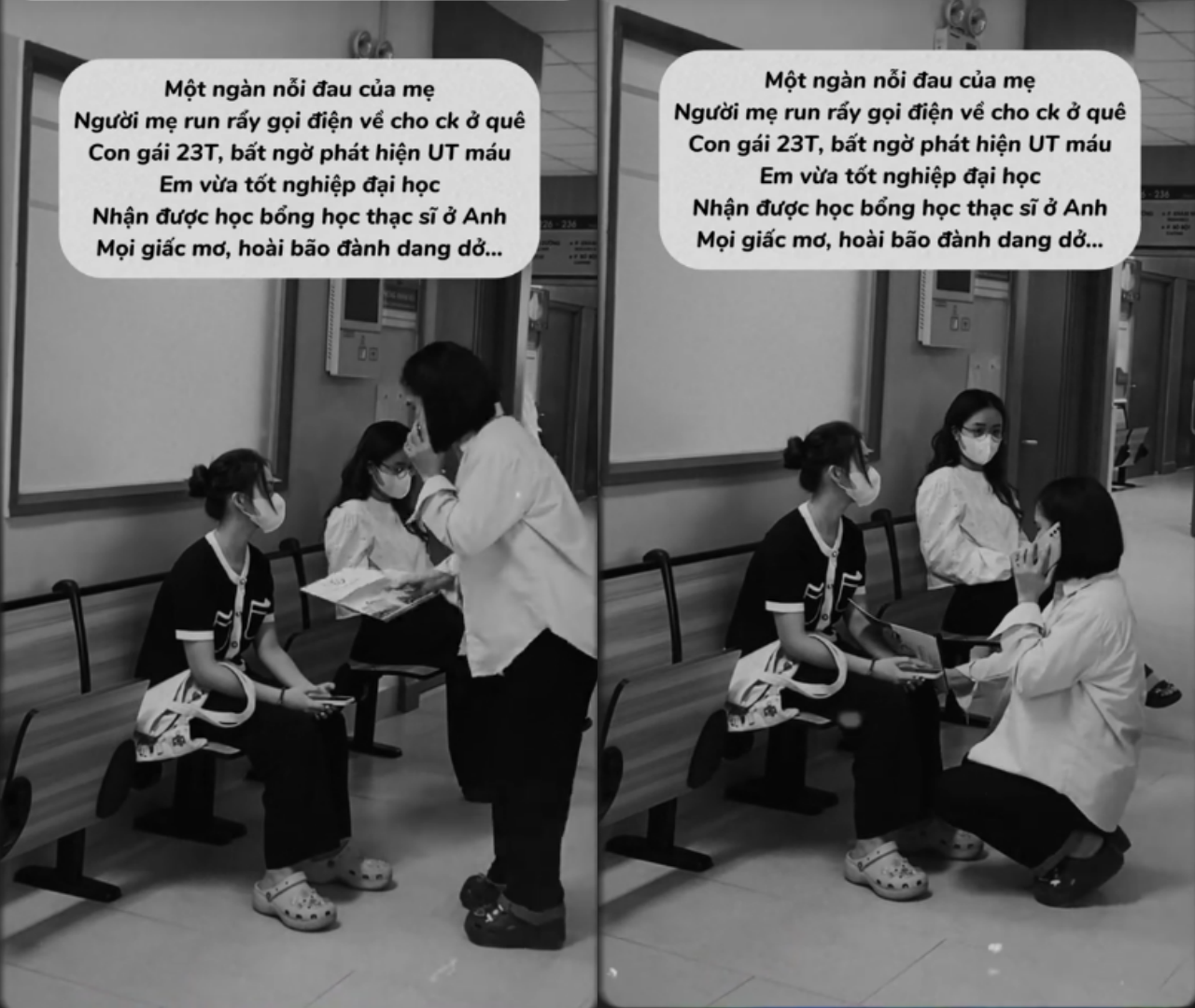 collage1-1755073682784-1755073683284478487176.png