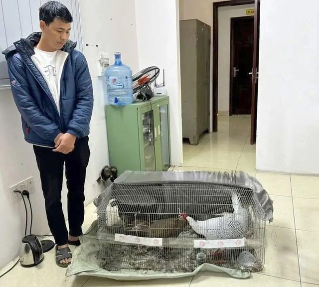 Vụ án &quot;gà lôi trắng&quot;: Bị cáo Thái Khắc Thành được trở về nhà, cấm đi khỏi nơi trú - Ảnh 1.
