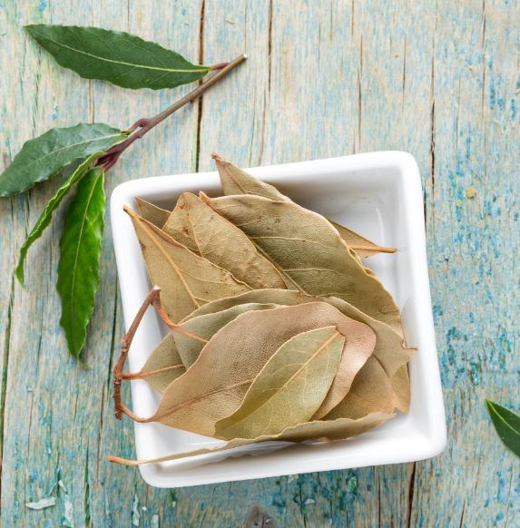 Loại lá ở Việt Nam nhiều người cho nhau miễn phí, ra nước ngoài giá 2 triệu đồng/kg - Ảnh 4. Loại lá ở Việt Nam nhiều người cho nhau miễn phí, ra nước ngoài giá 2 triệu đồng/kg - Ảnh 3.