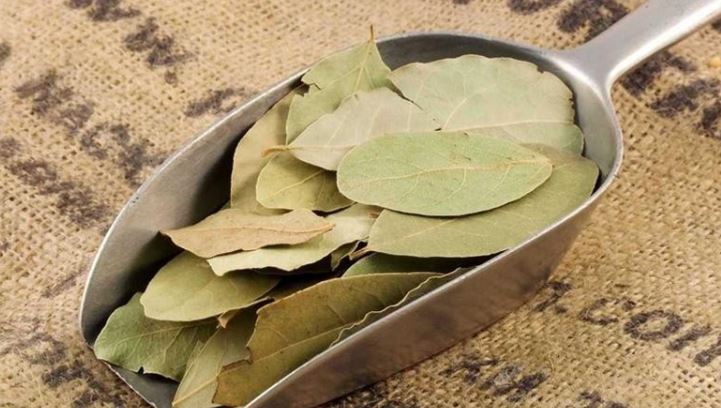 Loại lá ở Việt Nam nhiều người cho nhau miễn phí, ra nước ngoài giá 2 triệu đồng/kg - Ảnh 3. Loại lá ở Việt Nam nhiều người cho nhau miễn phí, ra nước ngoài giá 2 triệu đồng/kg - Ảnh 2.