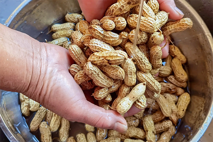 Luộc lạc chỉ cho muối chưa đủ, làm cách này lạc sẽ ngọt mềm, không thâm đen - Ảnh 3. Luộc lạc chỉ cho muối chưa đủ, làm cách này lạc sẽ ngọt mềm, không thâm đen - Ảnh 3.