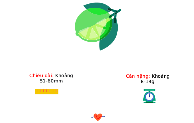 Tuần thai thứ 12: Giai đoạn ốm nghén đã qua, chúc mừng mẹ hoàn thành Tam cá nguyệt thứ nhất!- Ảnh 3.