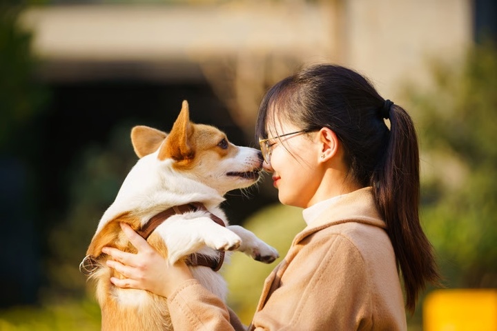 Nhà ngoại cảm 'dỏm' vớ bẫm với dịch vụ giao tiếp với linh hồn thú cưng - Ảnh 1.