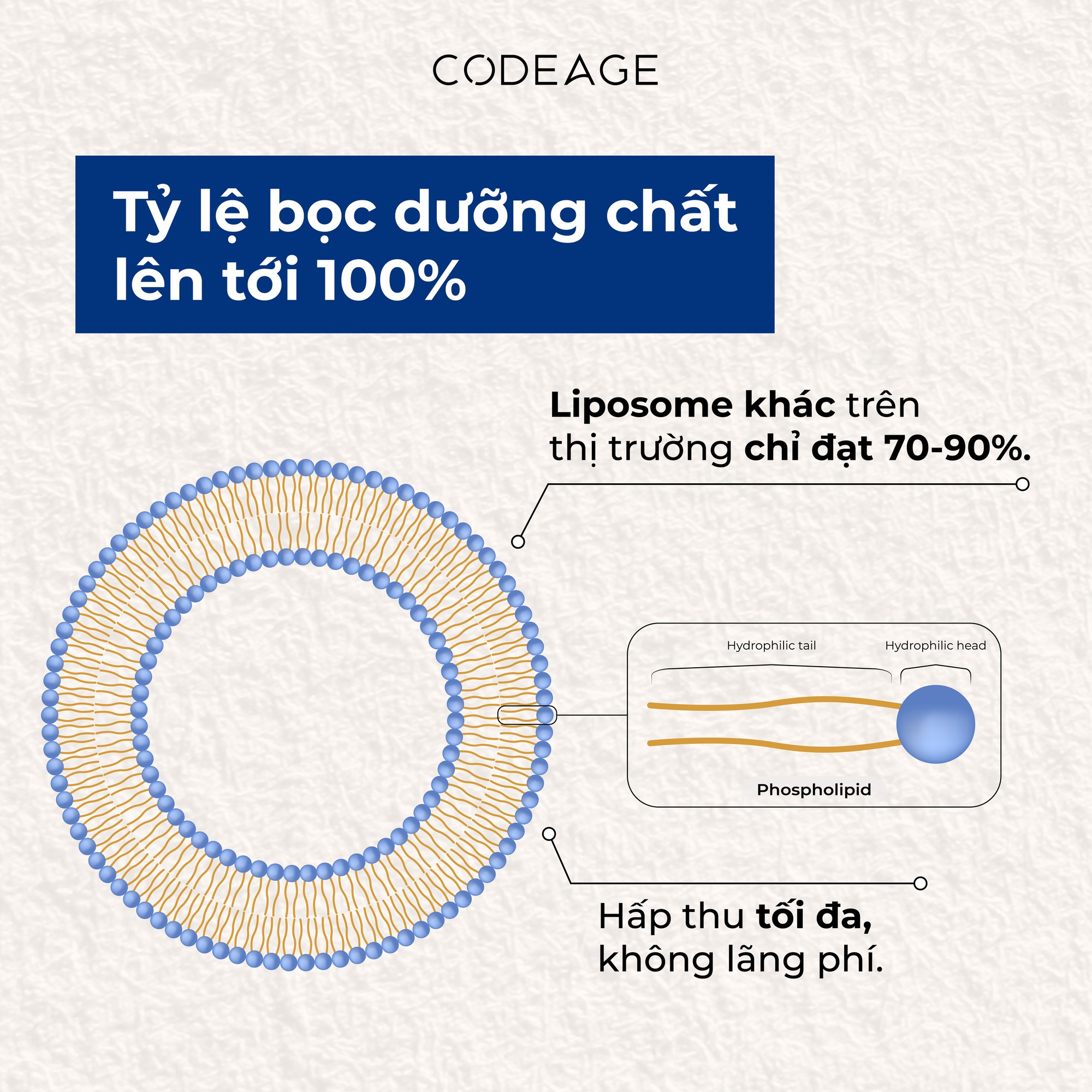 Helix &ndash; C&ocirc;ng nghệ Liposome đột ph&aacute; trong hấp thu dưỡng chất của Codeage- Ảnh 3.