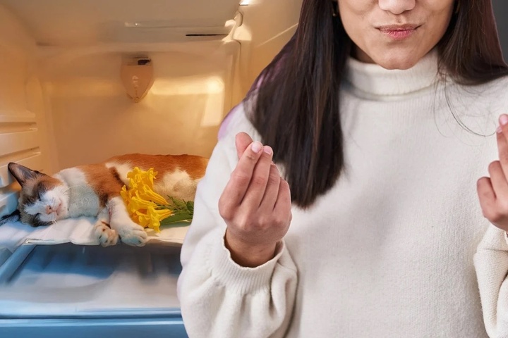 Nhà ngoại cảm 'dỏm' vớ bẫm với dịch vụ giao tiếp với linh hồn thú cưng - Ảnh 2.
