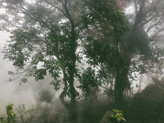 &quot;Miền đất hứa&quot; của Hoàng Thuỳ Linh - Đen Vâu: Biệt thự sân vườn, view hướng đồi, thích hợp gia đình 4 người nghỉ dưỡng! - Ảnh 4.