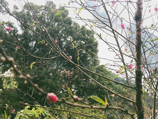 &quot;Miền đất hứa&quot; của Hoàng Thuỳ Linh - Đen Vâu: Biệt thự sân vườn, view hướng đồi, thích hợp gia đình 4 người nghỉ dưỡng! - Ảnh 3.