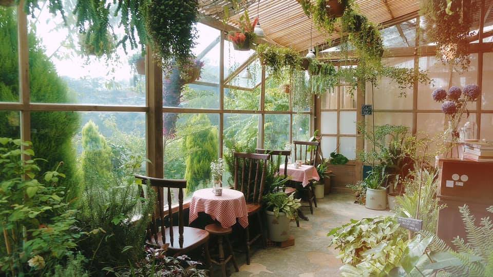 thiet-ke-quan-cafe-phong-cach-da-lat-6-1755237514523-17552375147271378313223-1755244783369-17552447834541179358591.jpg