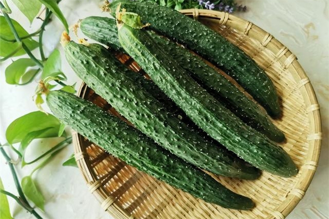 Dưa chuột bị đắng nên ăn hay bỏ? - Ảnh 1.