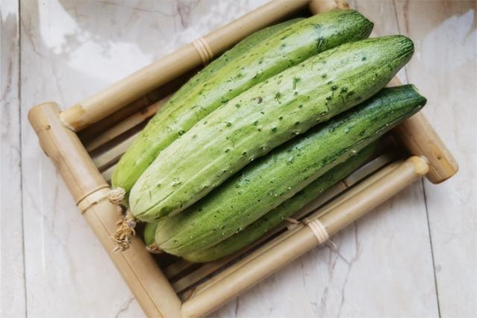 Dưa chuột bị đắng nên ăn hay bỏ? - Ảnh 4.
