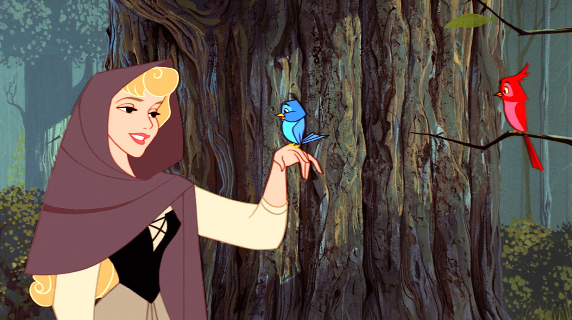 galleryprincessaurora37b8a05-1755321883490-17553218845501658648798.png