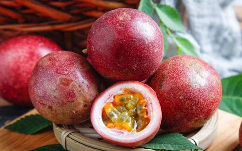 loai-qua-thuoc-nhom-tot-nhat-the-goi-viet-nam-trong-bat-ngan-3-1755157257185290270057-1755329412752-17553294129282140138567.jpg