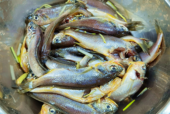 Lý do cá rán ở nhà hàng luôn giòn tan, thêm thứ này cá để lâu không ỉu - Ảnh 1.