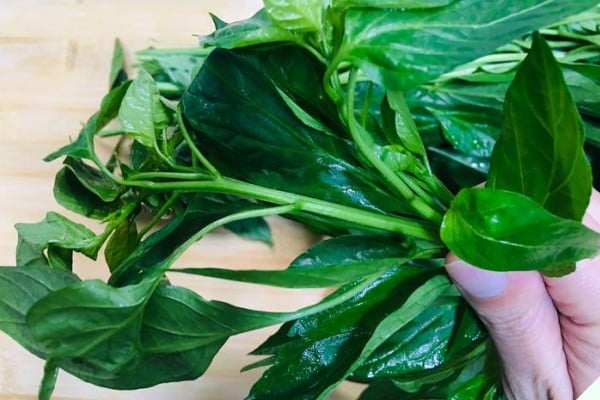 Đừng chỉ ăn quả, lá loại cây này quý như &quot;nhân sâm người nghèo&quot;, ở quê mọc um tùm- Ảnh 1.