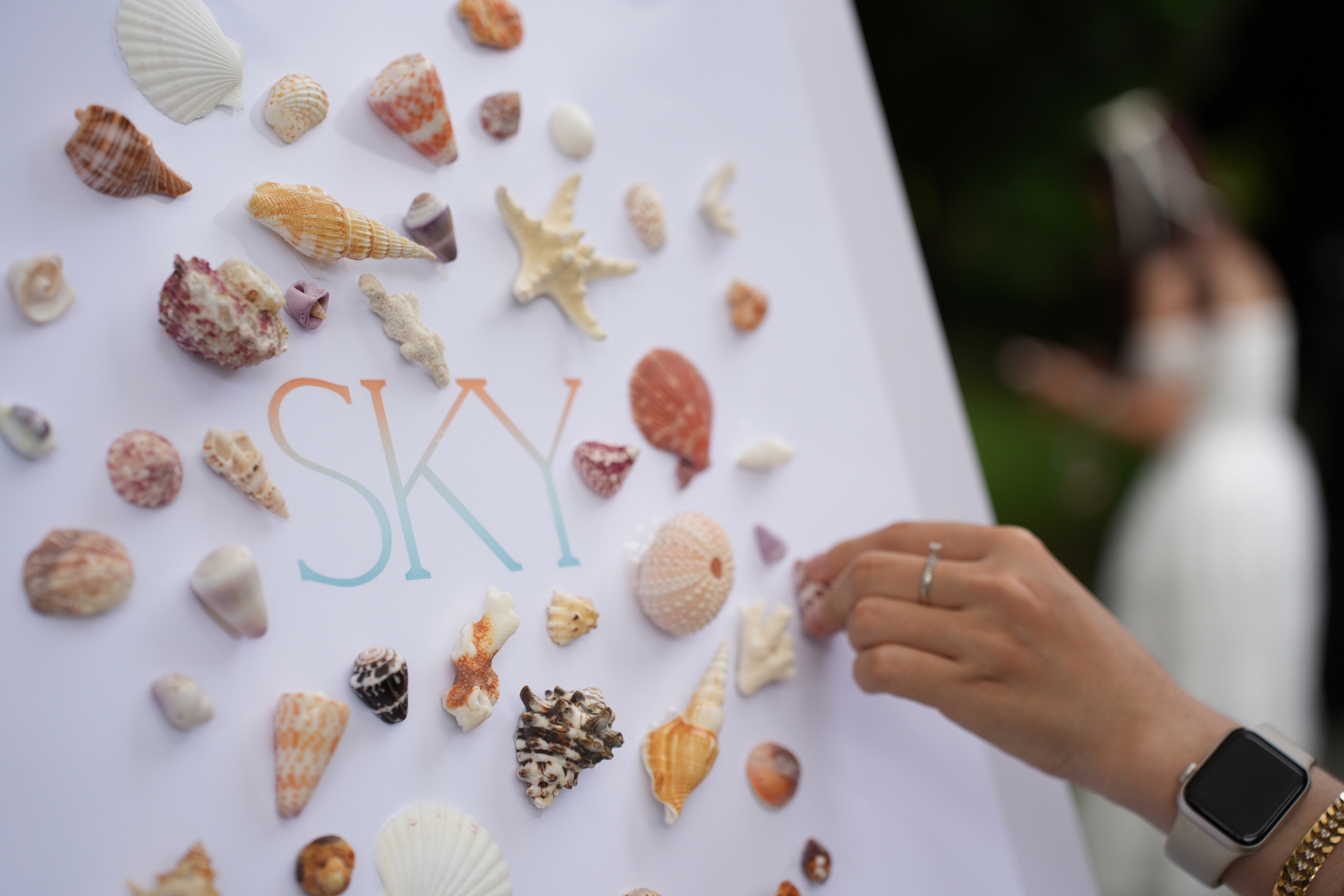 Sơn Tùng M-TP đón tháng sinh nhật bên 120 fan may mắn trong hoàng hôn Đà Nẵng tại SKYMEET #3 - Ảnh 3. Sơn Tùng M-TP đón tháng sinh nhật bên 120 fan may mắn trong hoàng hôn Đà Nẵng tại SKYMEET #3 - Ảnh 3.