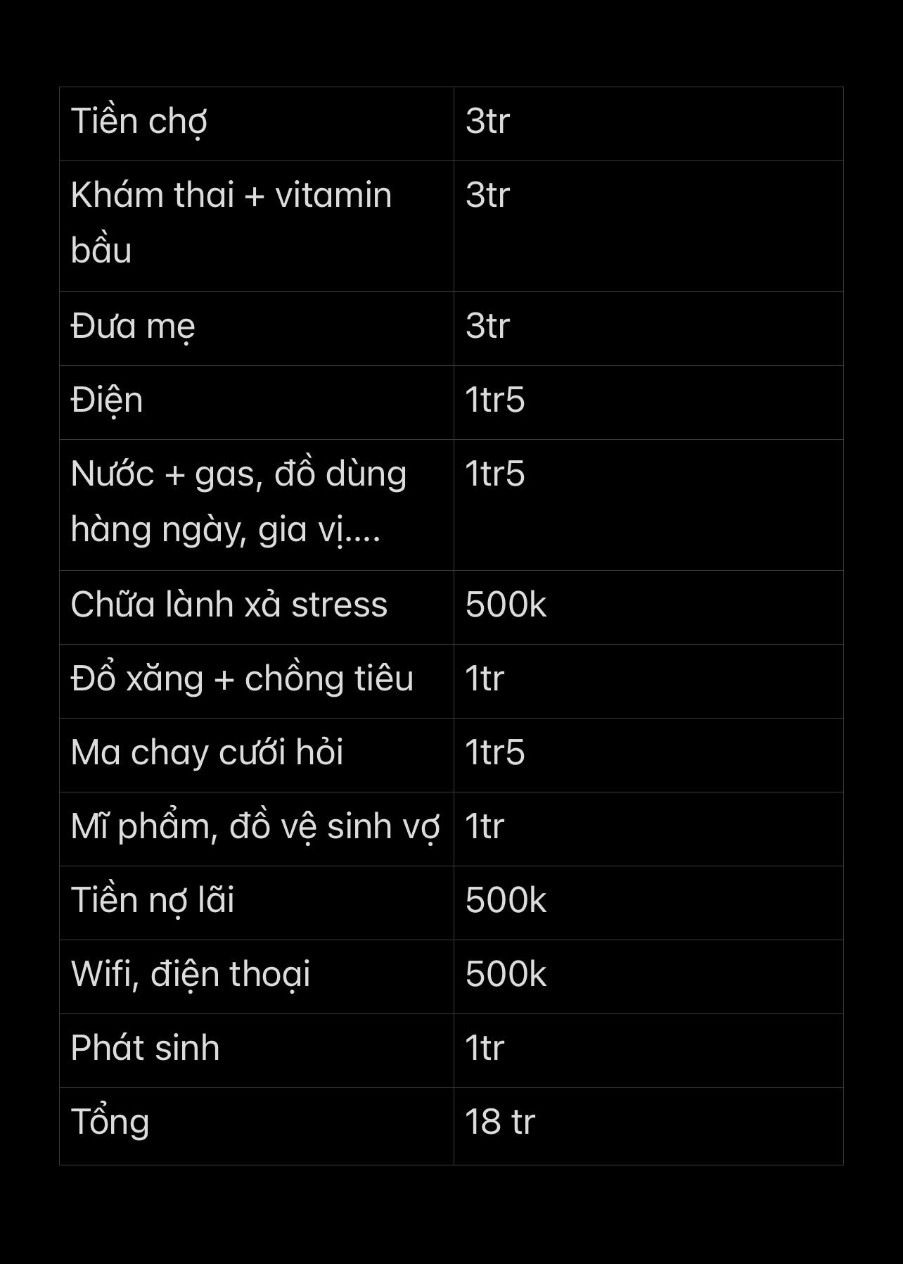 Bảng chi tiêu không ai chê nổi - Ảnh 1.