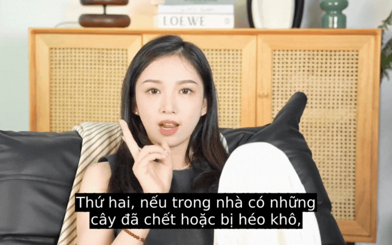 mau-hong-thoi-trang-phong-thuy-12-con-giap-5-17541271695341949336231.gif