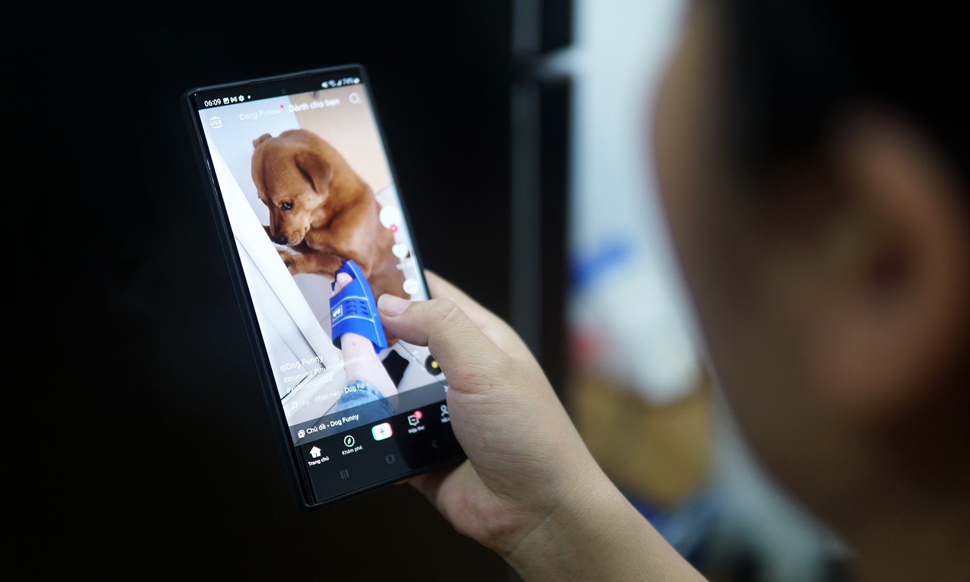 Khi những video vô tri Khi những video vô tri