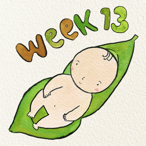 13-weeks-pregnant-pregnancy-week-by-week-17556837924661305381665-1755703638528-1755703639141327981459.gif