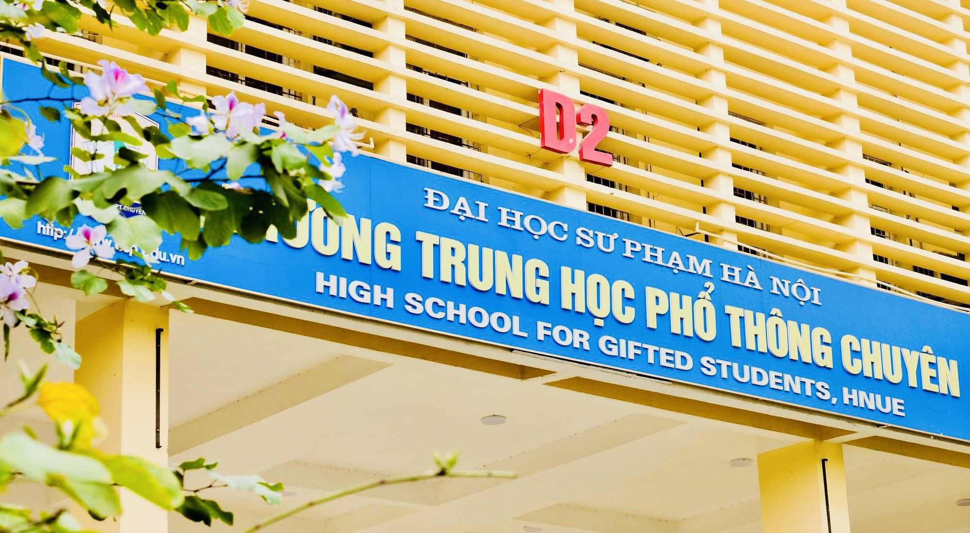 Trường cũ của nữ sinh 2k3 vừa lập kỷ lục 70 năm mới có 1 lần ở NEU: Là &quot;đỉnh lưu&quot; giới học thuật, nghe tên đã ngưỡng mộ - Ảnh 3.