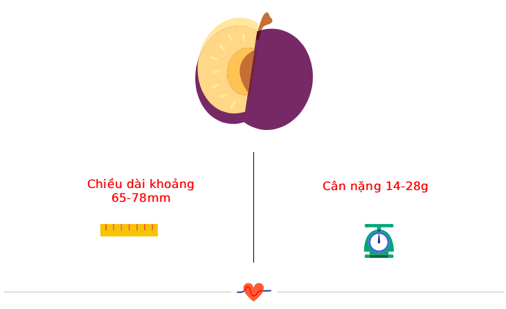 tuan-13-1755683217256548240602-1755703626856-17557036274231050169881.jpg