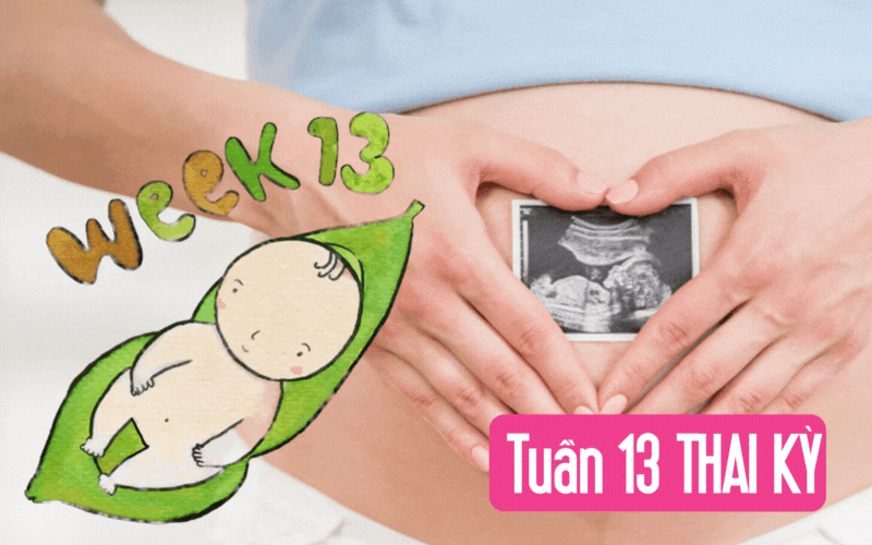 Tuần thai thứ 13: Tam cá nguyệt thứ hai bắt đầu, bé cử động rõ và có thể mút tay