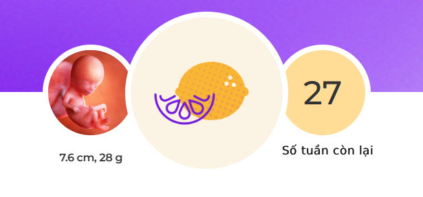 tuan-thai-13-1755682942954165959769-1755703616200-17557036216551889516566.jpg