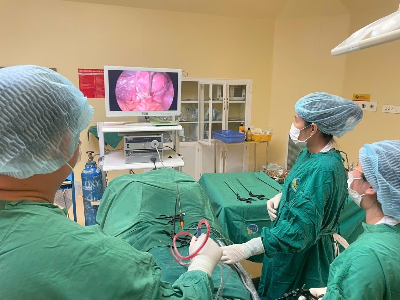 'Quái vật' chứa đầy tóc và răng trong bụng cô gái trẻ - Ảnh 1.