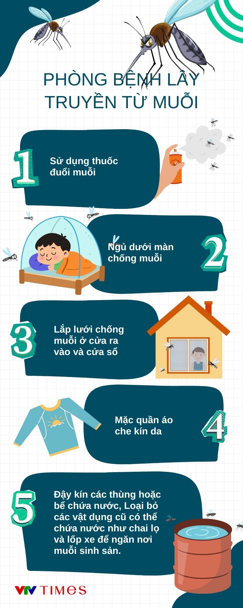 green-and-blue-illustrated-business-infographic-1-63083986442917896570357-1755848727482-17558487284701030931880.jpg