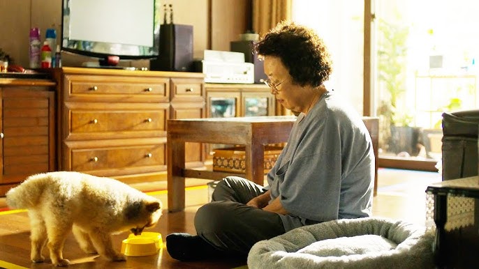 Ở tuổi 65, tôi đau lòng nhận ra: Con cái bất hiếu là do bản thân từng làm 6 điều này - Ảnh 1.