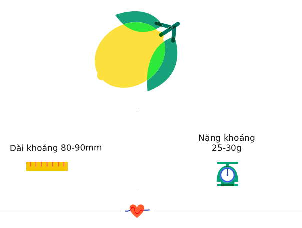Tuần thai thứ 14: Bé bắt đầu mọc lông mày, mẹ có thể cảm nhận con cử động trong bụng- Ảnh 3. Tuần thai thứ 14: Bé bắt đầu mọc lông mày, mẹ có thể cảm nhận con cử động trong bụng- Ảnh 3.