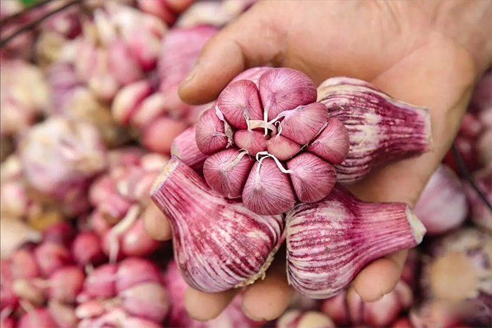 5 loại tỏi tuyệt đối không mua kẻo gây hại sức khỏe - Ảnh 1.