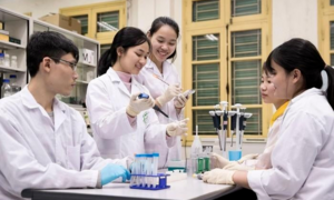 Điểm chuẩn đại học 2025: Nhiều ngành gần 10 điểm/môn, thủ khoa cũng có thể trượt - Ảnh 4. Điểm chuẩn đại học 2025: Nhiều ngành gần 10 điểm/môn, thủ khoa cũng có thể trượt - Ảnh 4.