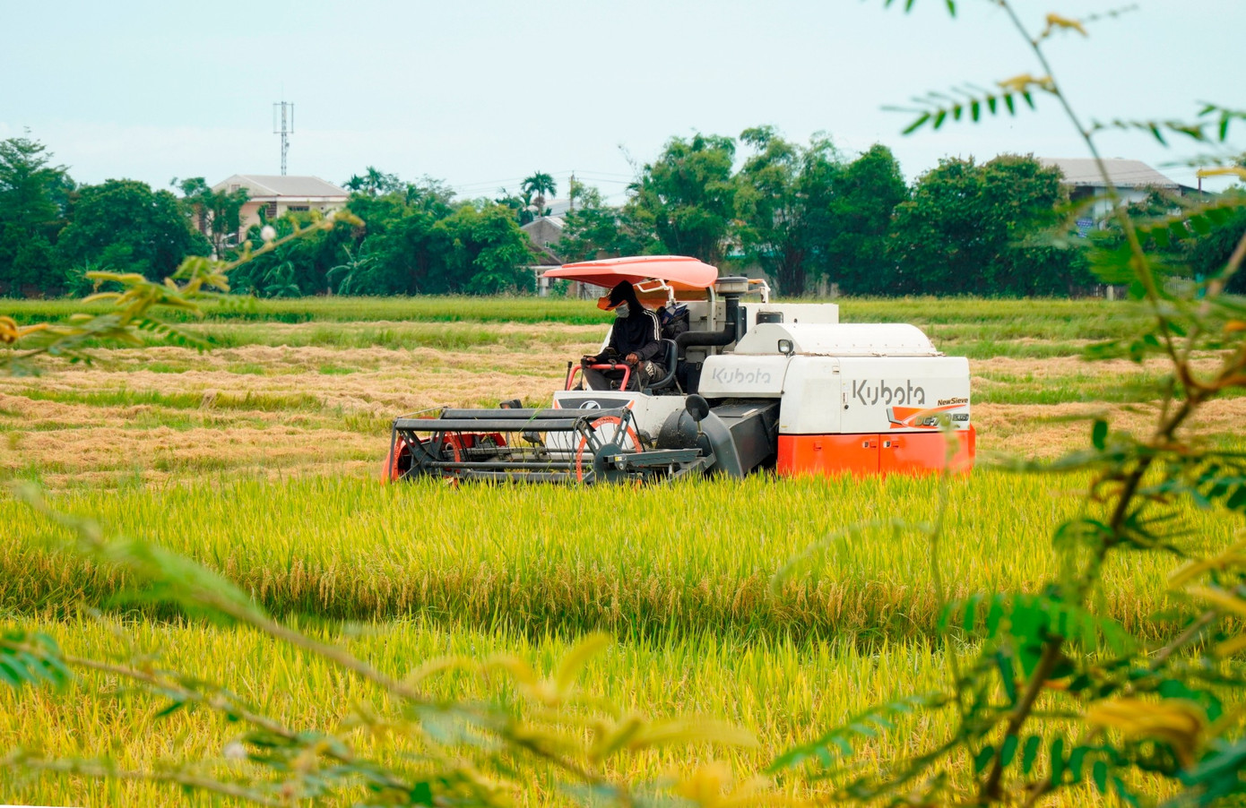 Huế yêu cầu kêu gọi tàu thuyền vào bờ tránh bão số 5 trước 19h tối nay - Ảnh 2. Huế yêu cầu kêu gọi tàu thuyền vào bờ tránh bão số 5 trước 19h tối nay - Ảnh 2.