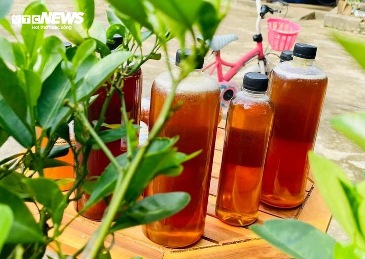 Thử ngay mẹo nhỏ với cốc nước để biết mật ong xịn hay pha đường - Ảnh 1. Thử ngay mẹo nhỏ với cốc nước để biết mật ong xịn hay pha đường - Ảnh 1.