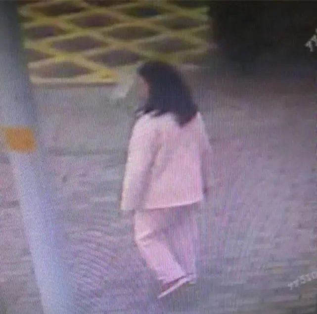 Trượt đại học, nữ sinh mang ám ảnh suốt 7 năm: 25 tuổi đi viện cùng mẹ rồi biến mất đầy bí ẩn - Ảnh 3.