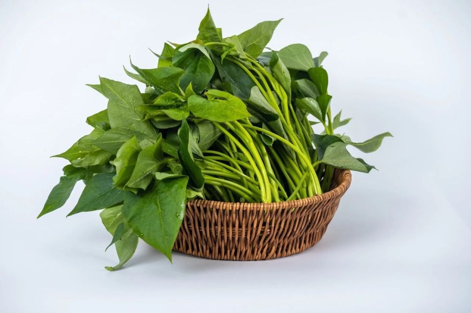 Loại rau bị nhiều người Việt chê nhưng sang Mỹ lại được &quot;săn đón&quot;, giá lên tới tiền triệu bởi công dụng ức chế tế bào ung thư- Ảnh 2.