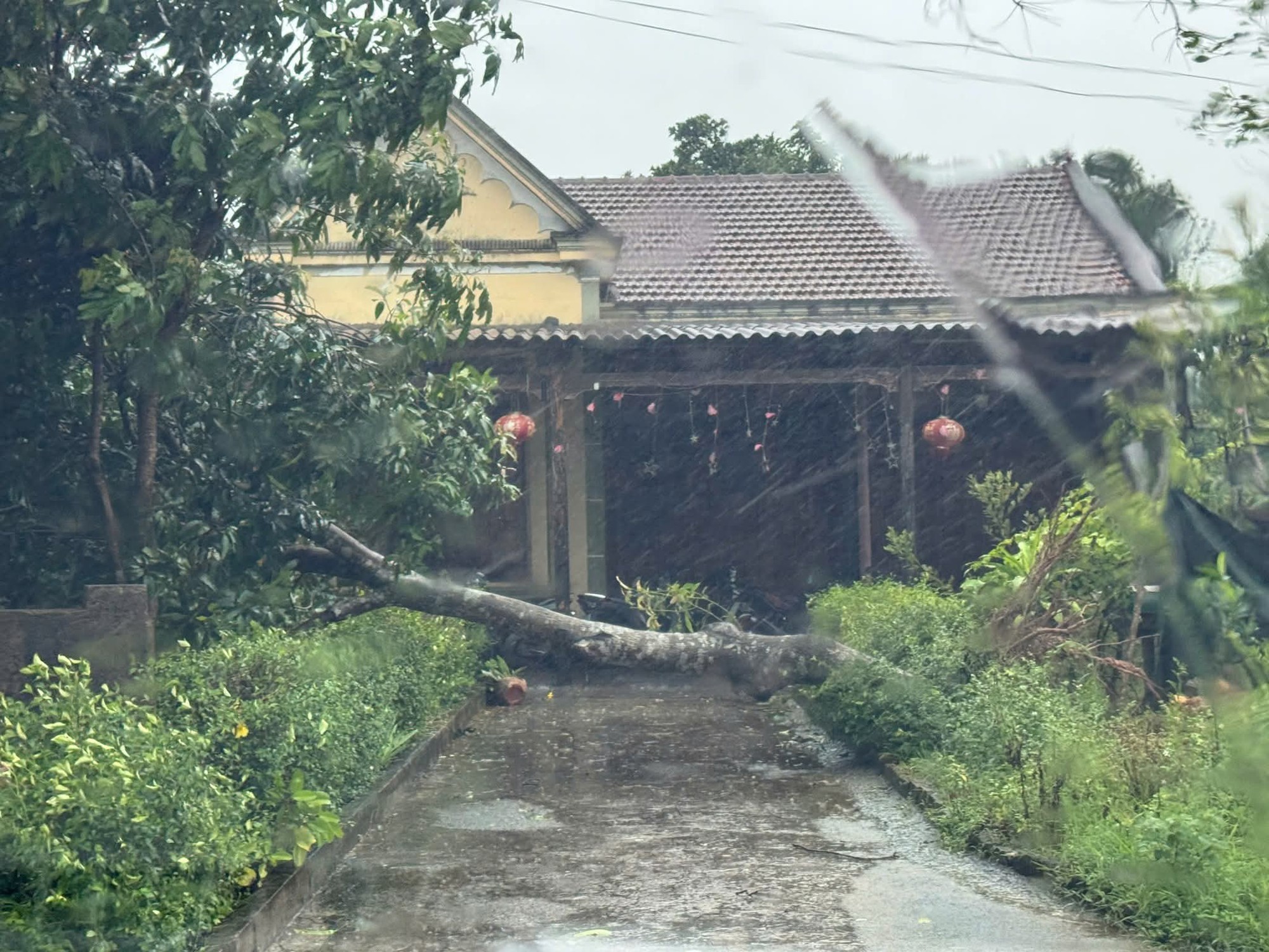 Bão số 5 ( Kajiki ) gây mưa lớn , gió mạnh tại Hà Tĩnh - Ảnh 8. Bão số 5 ( Kajiki ) gây mưa lớn , gió mạnh tại Hà Tĩnh - Ảnh 8.