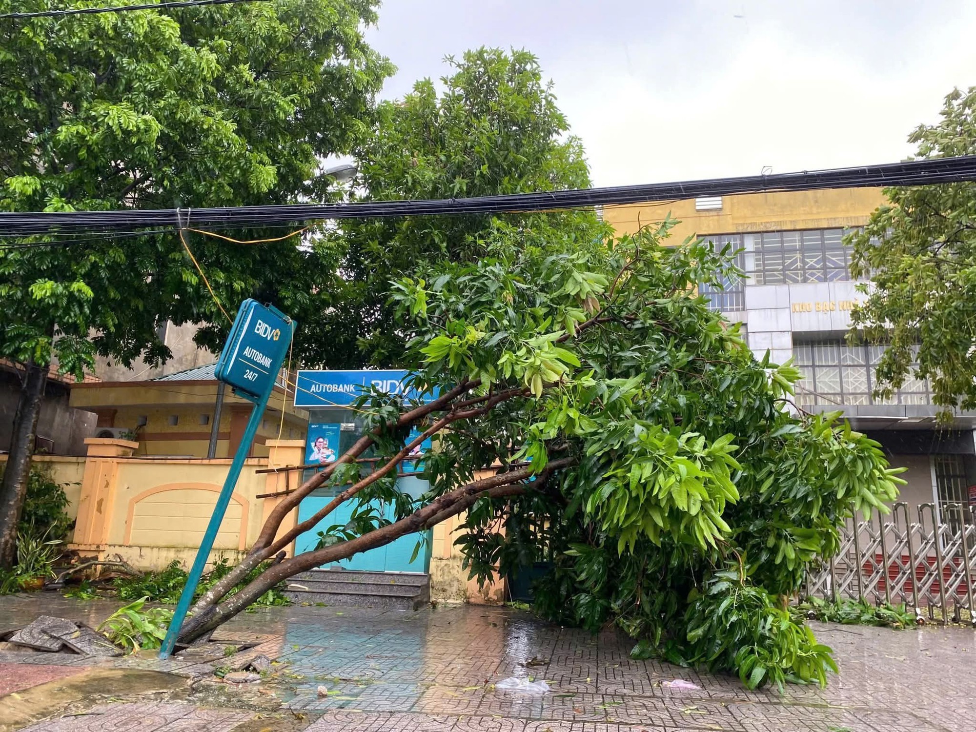 Bão số 5 ( Kajiki ) gây mưa lớn , gió mạnh tại Hà Tĩnh - Ảnh 7. Bão số 5 ( Kajiki ) gây mưa lớn , gió mạnh tại Hà Tĩnh - Ảnh 7.