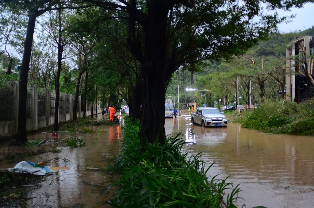 Cảnh tượng kinh ho&agrave;ng khi b&atilde;o số 5 (b&atilde;o Kajiki) đổ bộ Trung Quốc: C&acirc;y đổ h&agrave;ng loạt, giao th&ocirc;ng t&ecirc; liệt - Ảnh 2.
