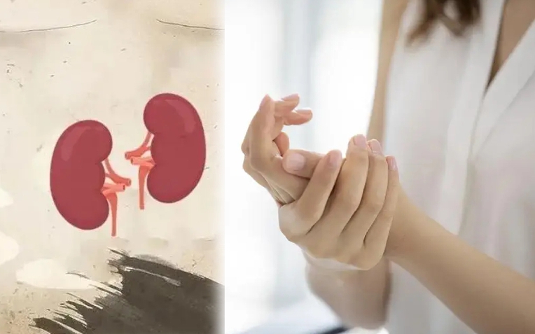 Một khi 5 &quot;dấu hiệu xấu xí&quot; này xuất hiện trên bàn tay, thận có thể đã bị &quot;rỗng&quot;! Ăn 3 &quot;món&quot; màu đen để thận khỏe