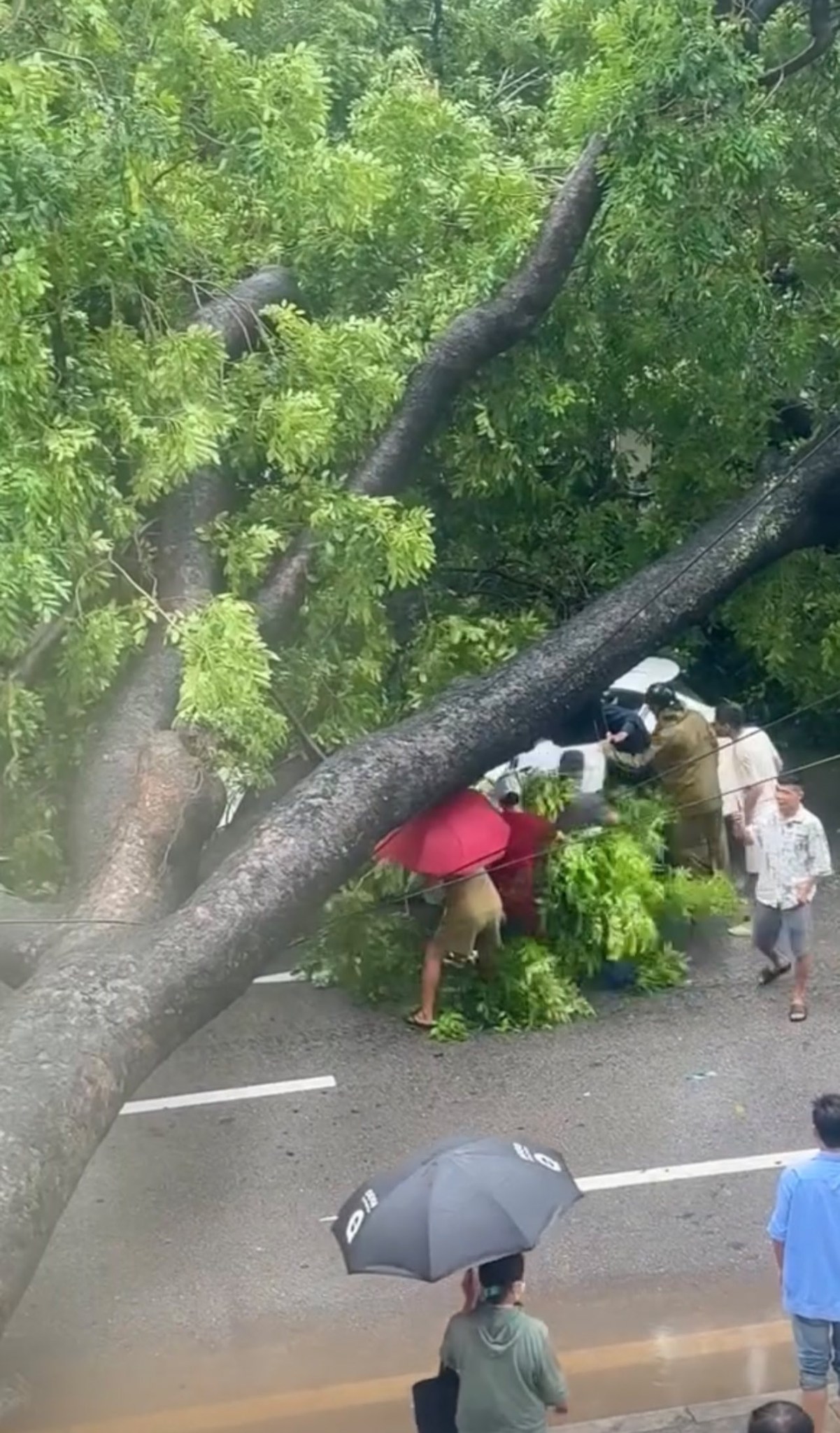 Hà Nội đang ngập khủng khiếp khắp nẻo đường: Người dân dùng xô múc nước tràn khỏi nhà- Ảnh 52.