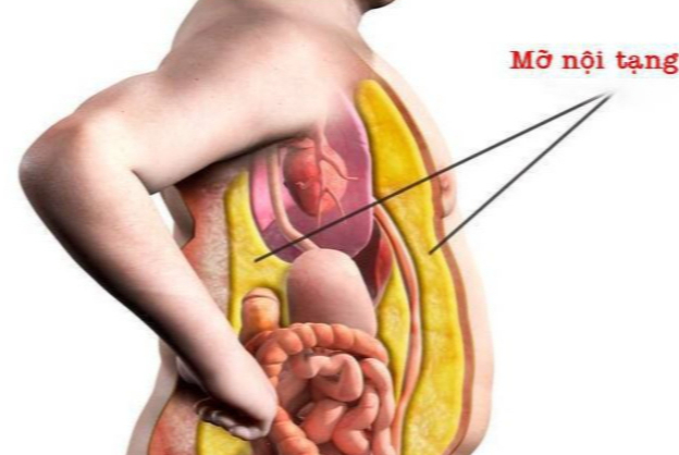 Mách chị em: Phụ nữ có mỡ ở đâu thì tốt cho tim mạch? Câu trả lời khiến nhiều người bất ngờ!- Ảnh 4.