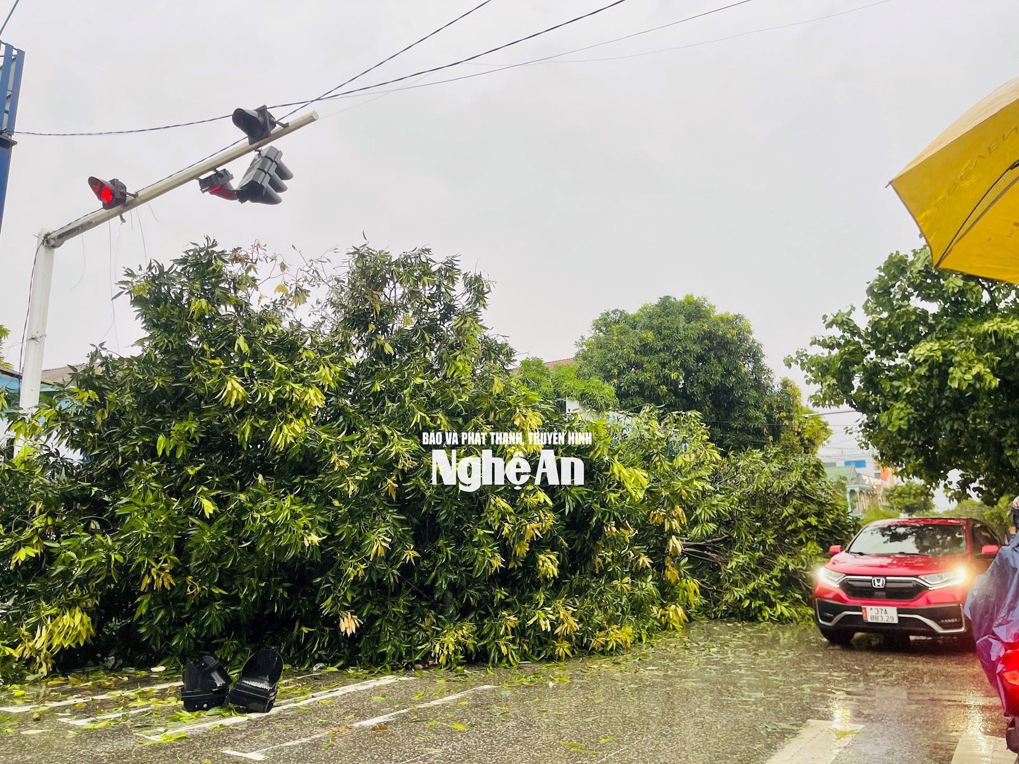 Hình ảnh tan hoang bên trong Bệnh viện Sản Nhi Nghệ An sau khi bão số 5 đi qua, thương quá miền Trung ơi! - Ảnh 14. Hình ảnh tan hoang bên trong Bệnh viện Sản Nhi Nghệ An sau khi bão số 5 đi qua, thương quá miền Trung ơi! - Ảnh 14.