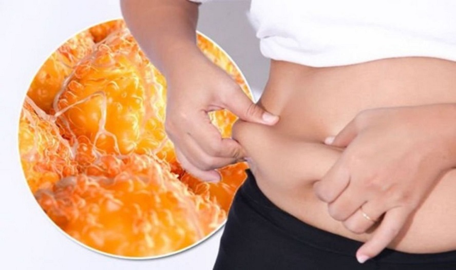Mách chị em: Phụ nữ có mỡ ở đâu thì tốt cho tim mạch? Câu trả lời khiến nhiều người bất ngờ!- Ảnh 1.