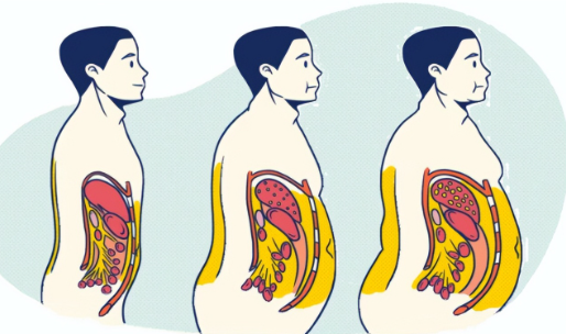 Sự thật bất ngờ: Eo càng nhỏ, não bộ càng minh mẫn - Ảnh 2.