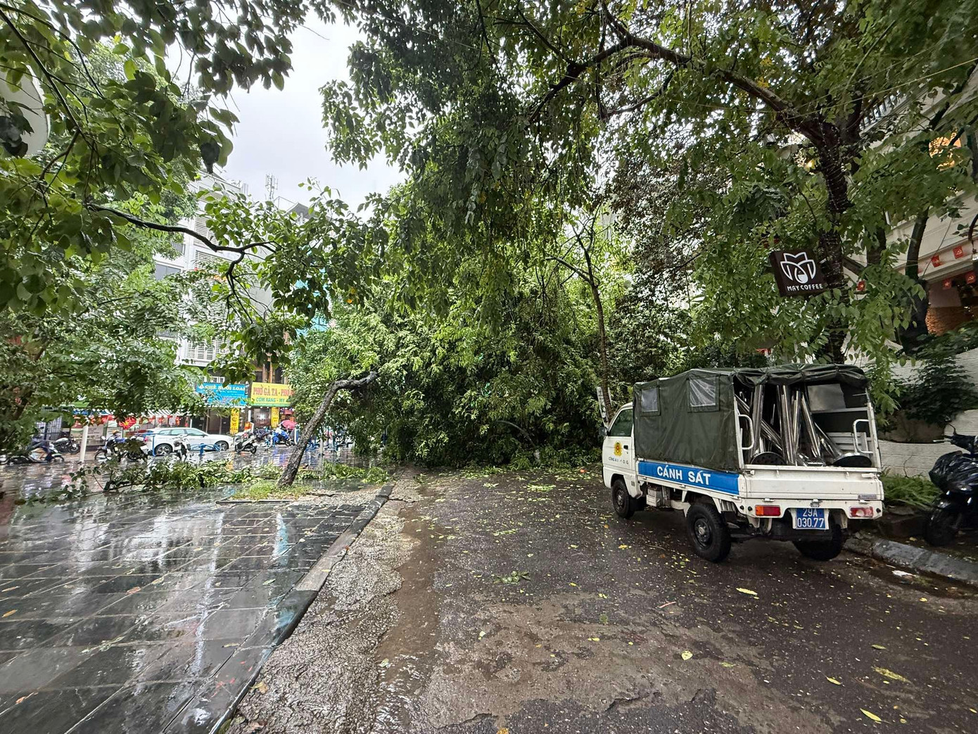 Hà Nội: Cây xà cừ cổ thụ đổ đè bẹp 2 ô tô trên phố Trung Kính - Ảnh 3. Hà Nội: Cây xà cừ cổ thụ đổ đè bẹp 2 ô tô trên phố Trung Kính - Ảnh 3.